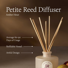 Petite Reed Diffuser with wooden sticks in a white container on a brown background