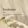 Text about eucalyptus fragrance with a eucalyptus leaf on a textured beige background