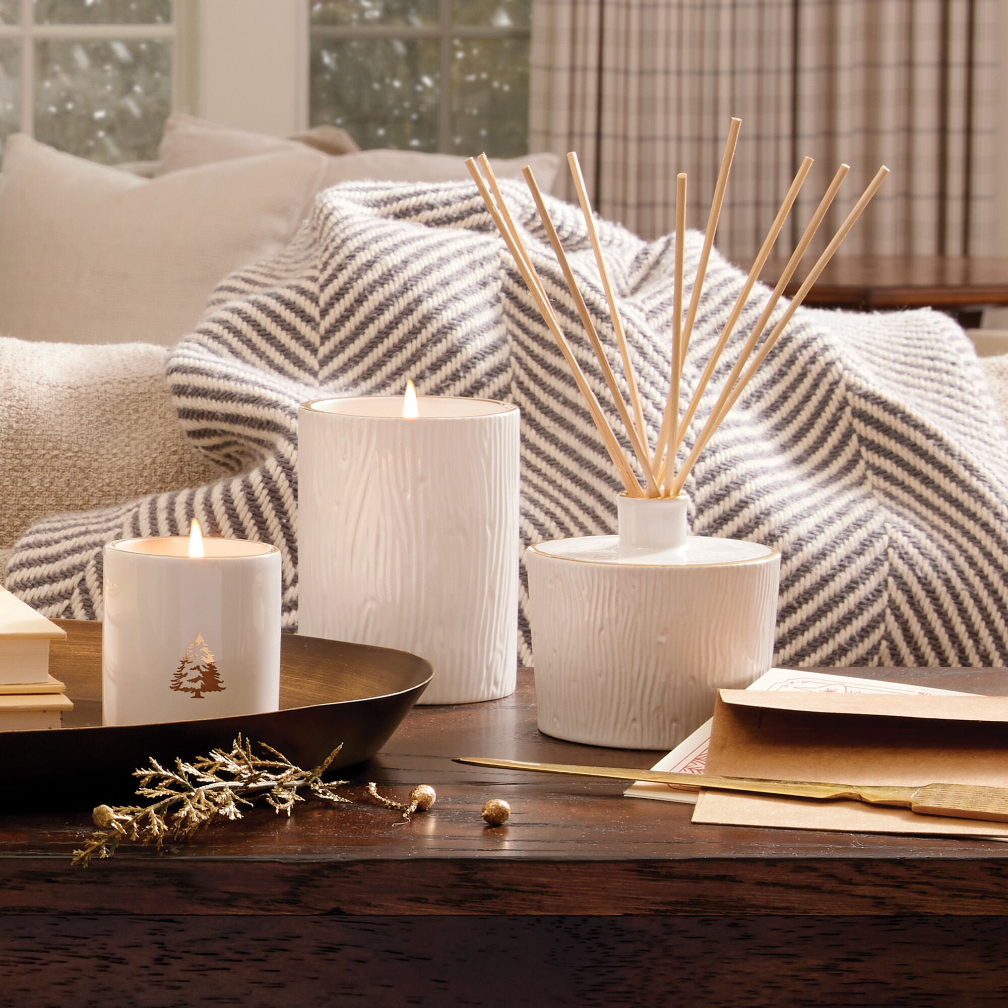 Frasier Fir Ceramic Medium Candle | Thymes