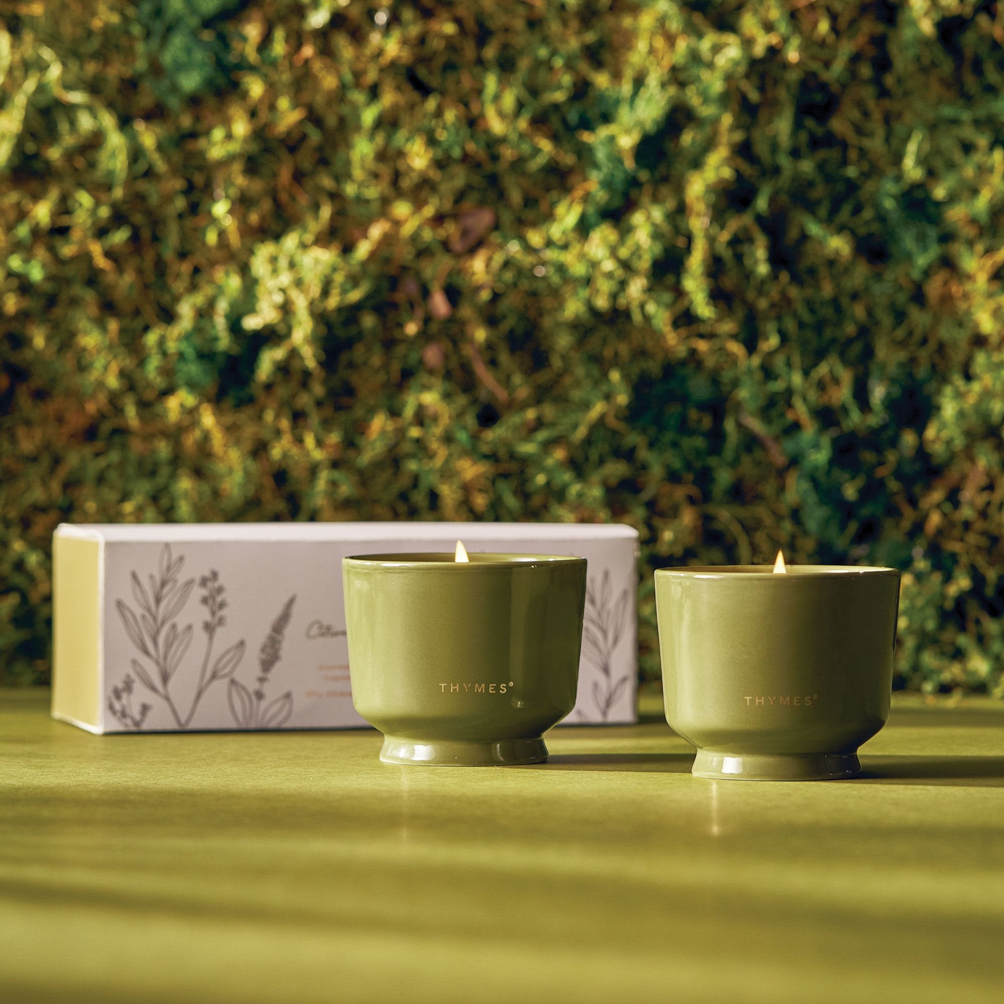 Outdoor Oasis Citronella Grove Aromatic Candle Set | Thymes