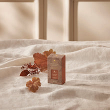 Pumpkin Laurel Pura® Diffuser Refill 2-Pack Bundle