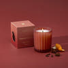 A lit 6.1 ounce candle in a frosted, matte glass vessel sits beside its packaging box, whole cloves, star anise and a mandarin peel.