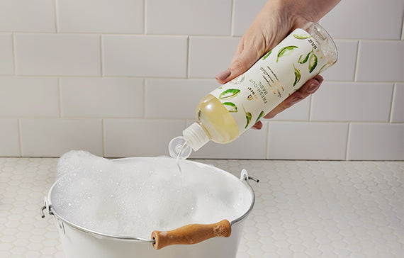 Thymes Home Care featuring Fresh Cut Basil All Purpose Cleaning Concentrate