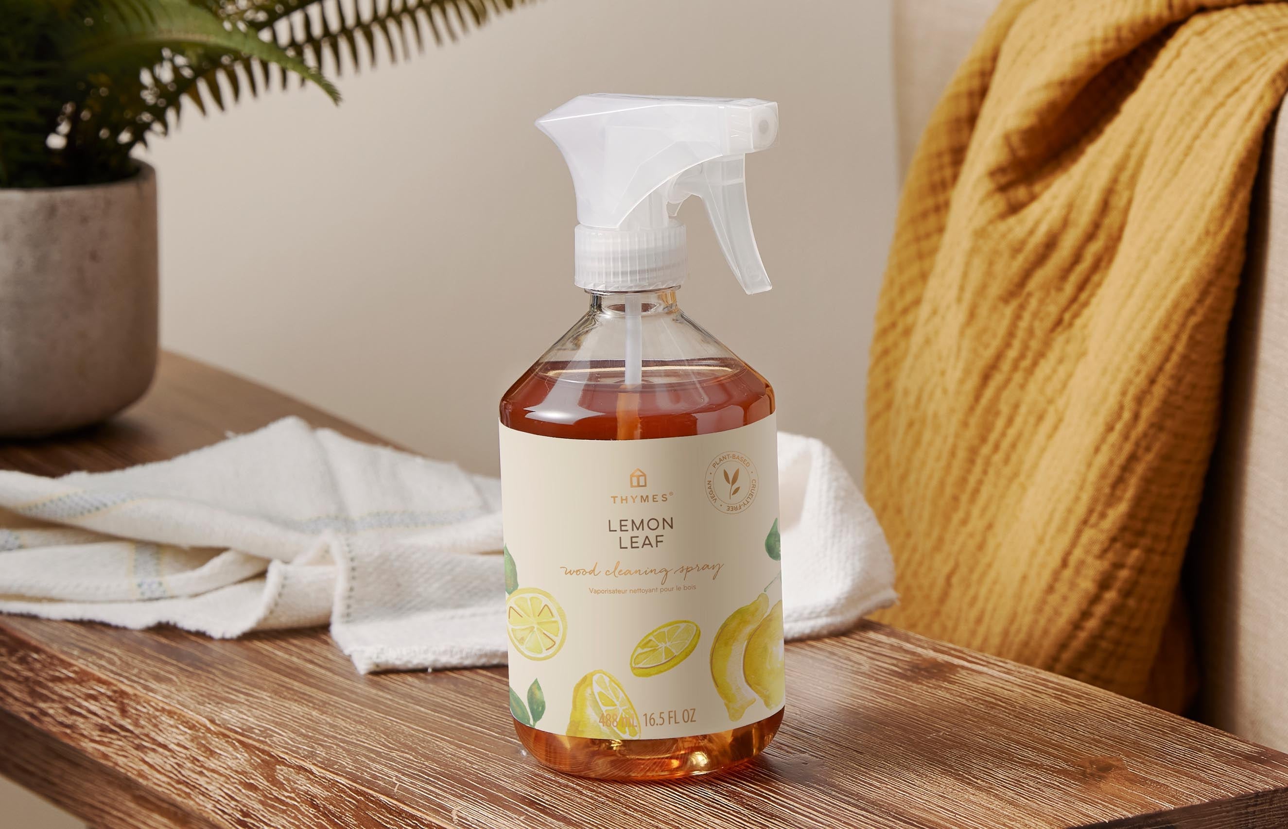 For the Spring Cleaner