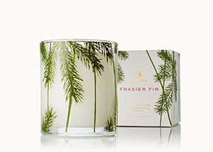 Frasier Fir Heritage