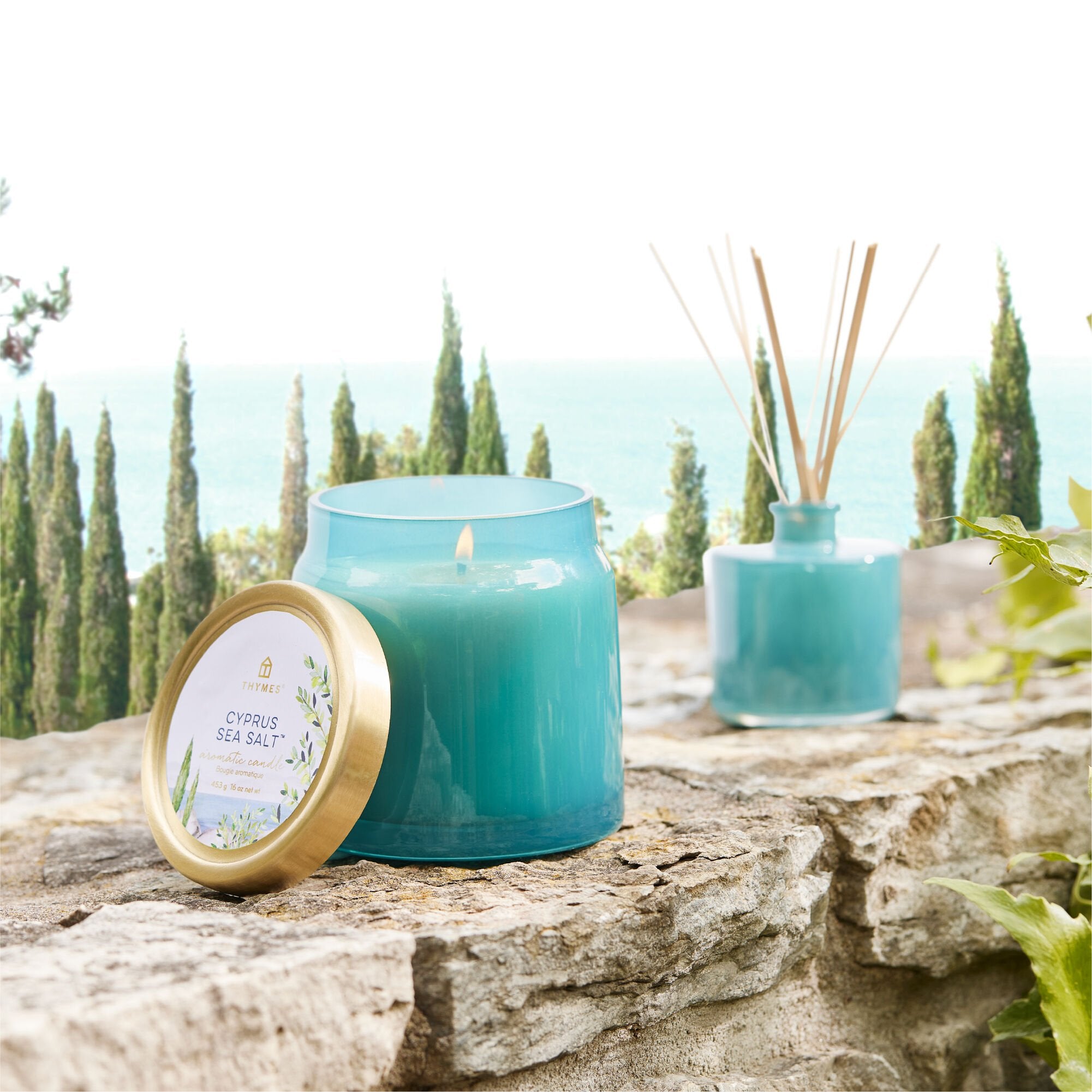 Cyprus Sea Salt Reed Diffuser Petite - Thumbnail 4