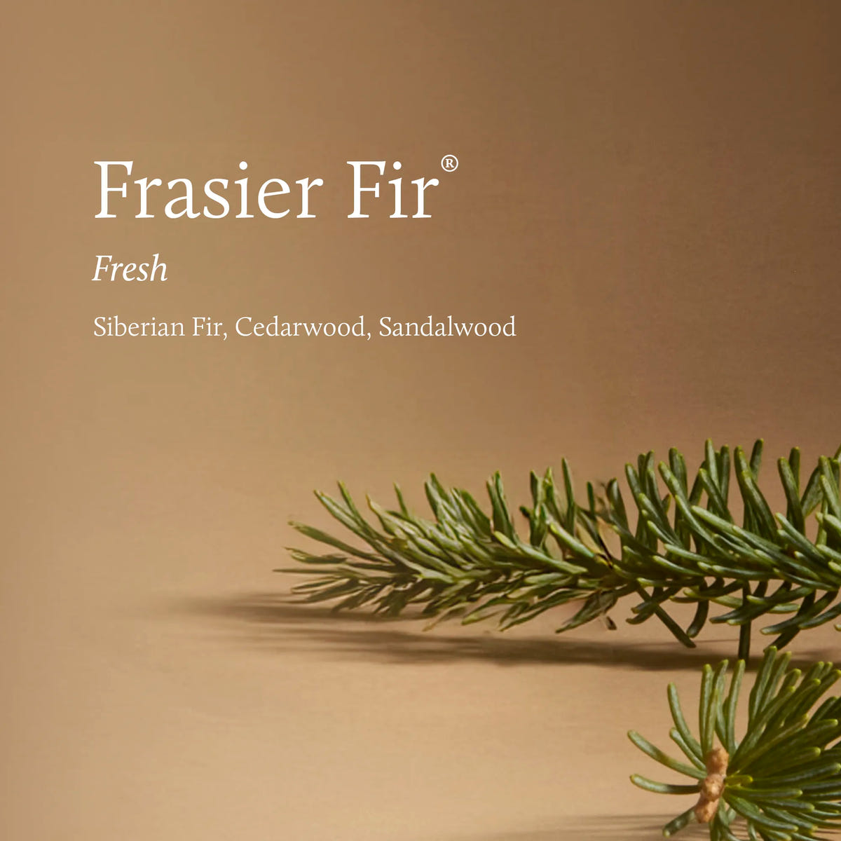 Frasier Fir® Tidings Candle Duo