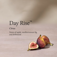Two figs on a beige background with 'Day Rise' branding and description.
