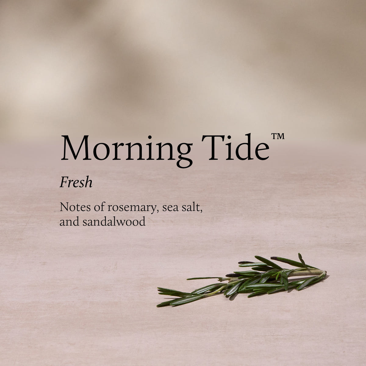'Morning Tide' with rosemary on a beige background