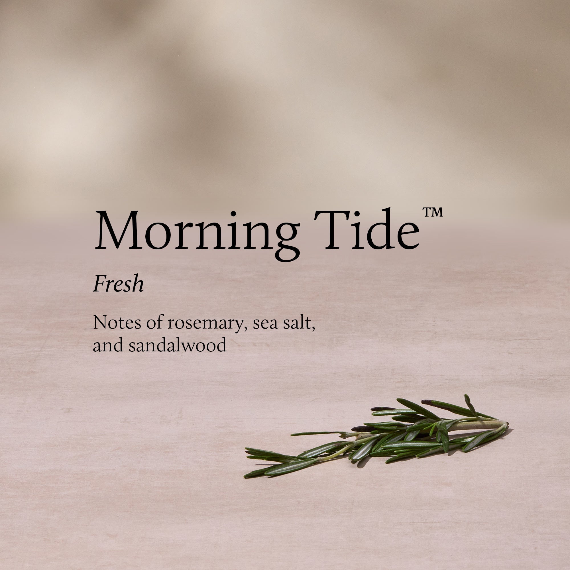 'Morning Tide' with rosemary on a beige background