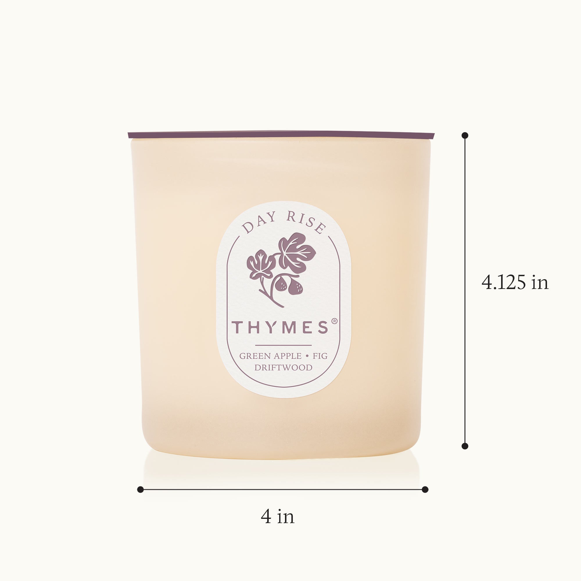 Thymes candle with dimensions on a white background