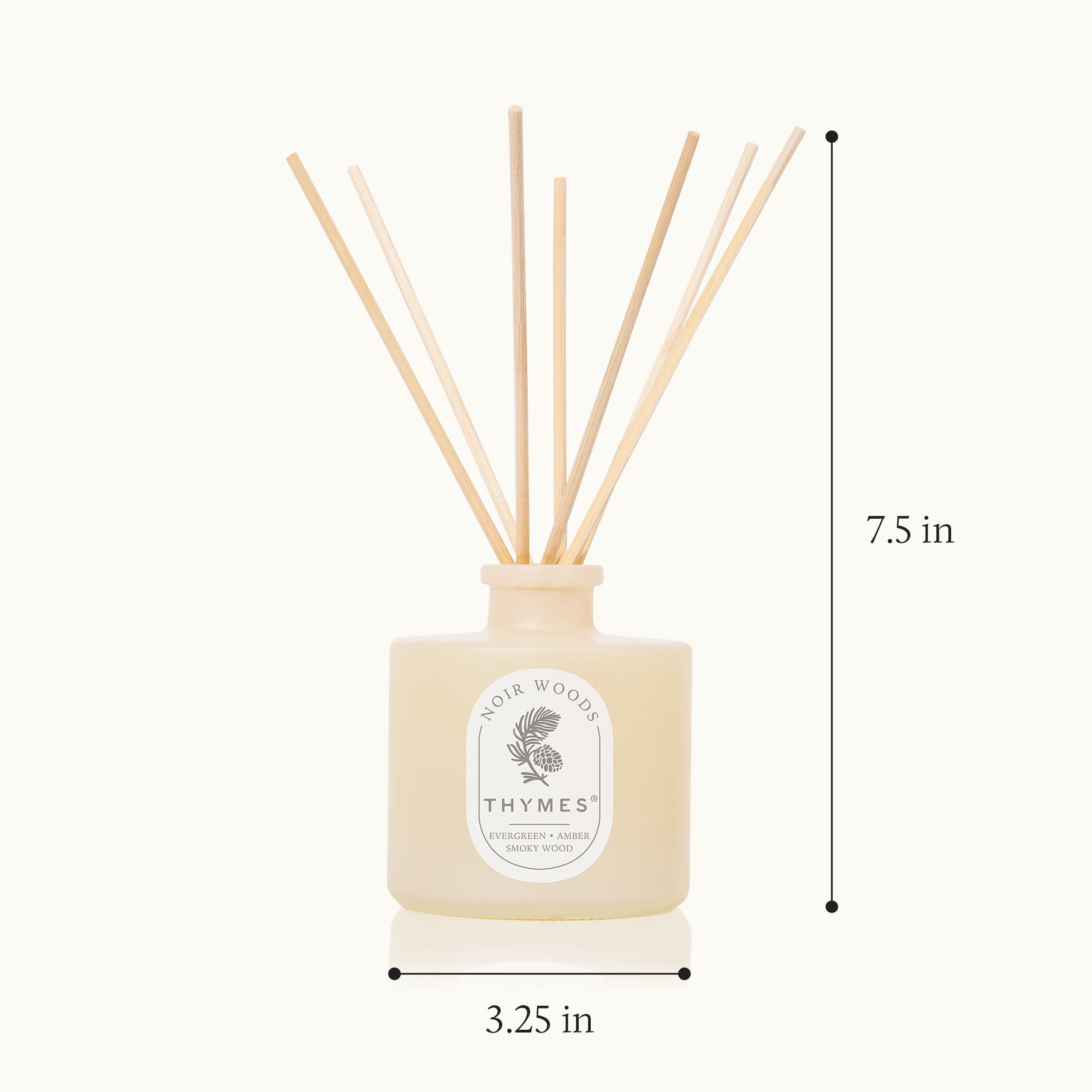 Thymes diffuser with reeds and dimensions on a white background
