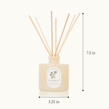Thymes diffuser with reeds and dimensions on a white background