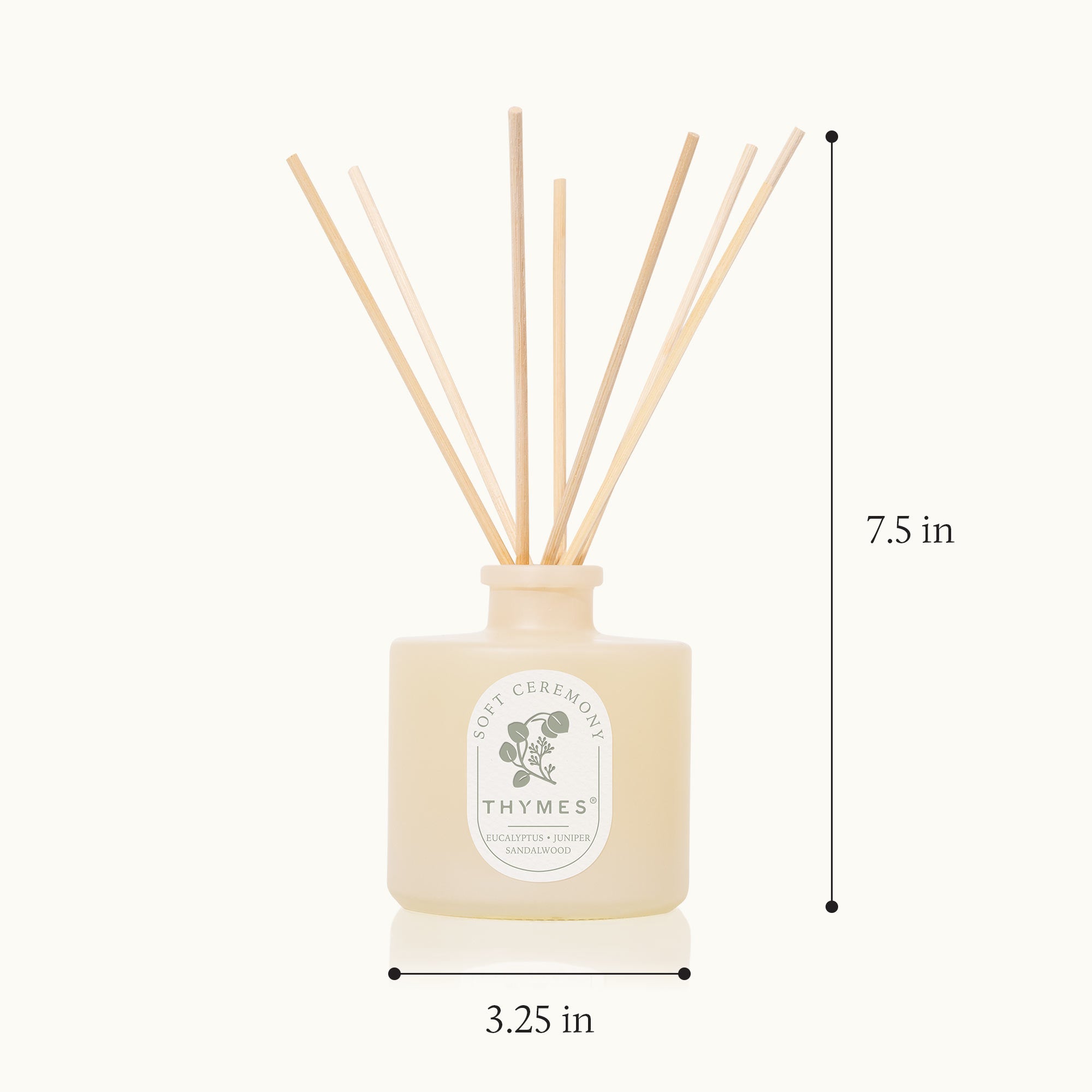 Thymes diffuser with reeds and dimensions on a white background