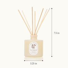 Thymes diffuser with reeds and dimensions on a white background