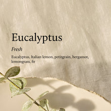 Text about eucalyptus fragrance with a eucalyptus leaf on a textured beige background