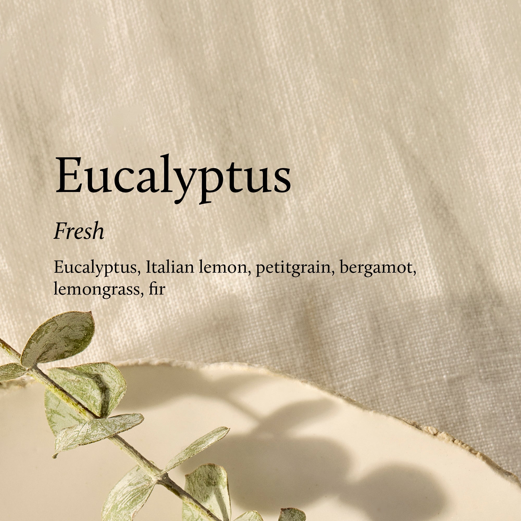 Text about eucalyptus fragrance with a eucalyptus leaf on a textured beige background