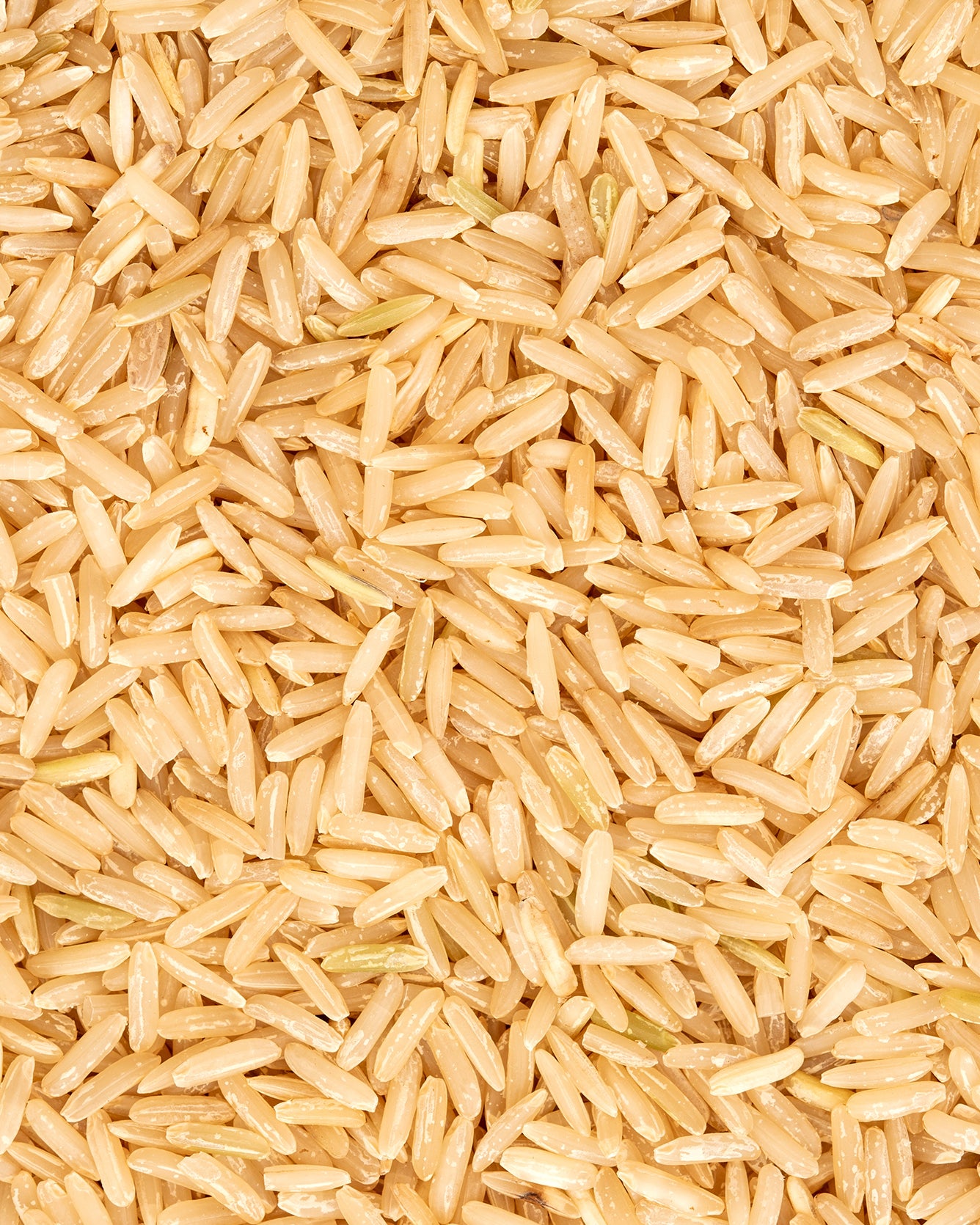 Close-up of uncooked brown rice grains