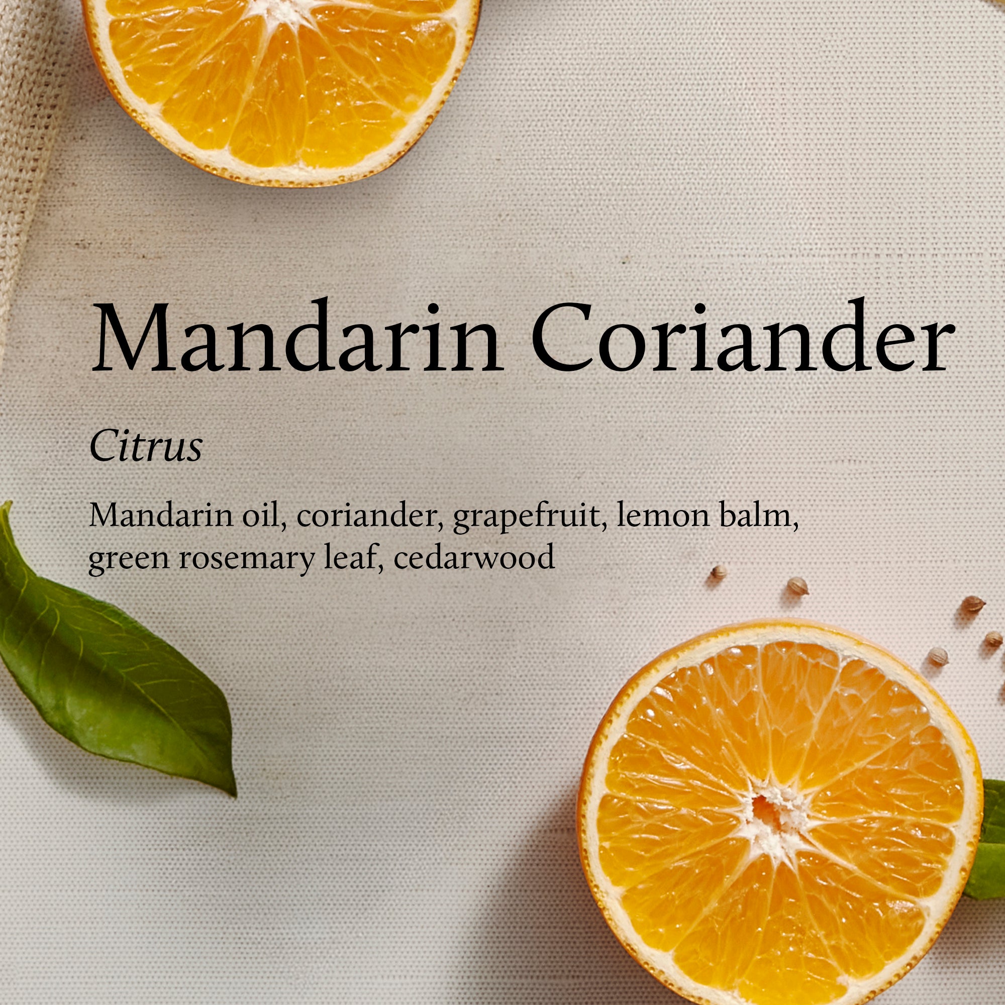 Mandarin coriander product description with sliced oranges and leaves on a neutral background