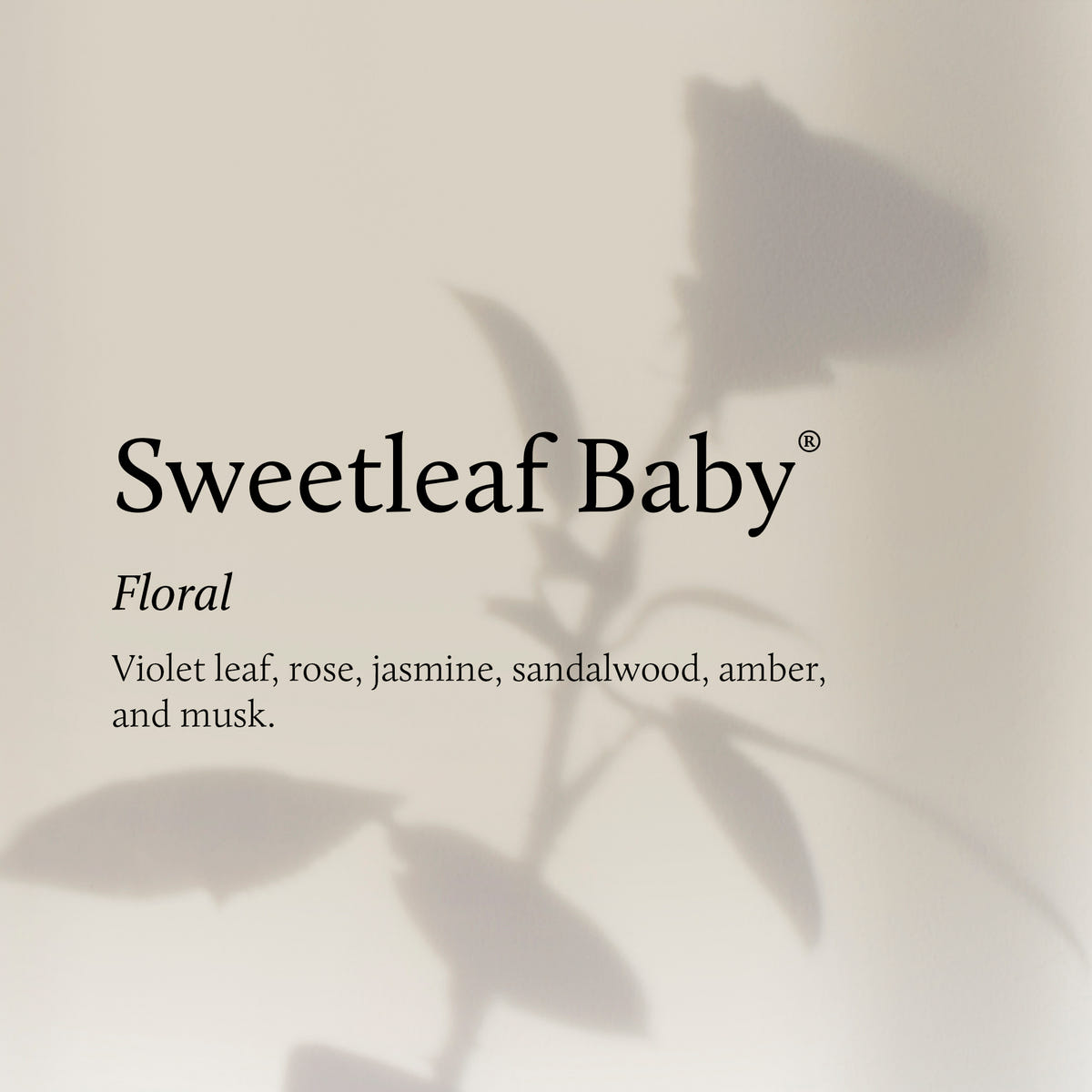 Silhouette of a flower with Sweetleaf Baby text and fragrance description