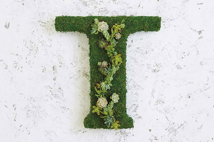 Thymes logo 'T' made of various plants on a marble background