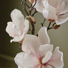 Thymes Magnolia Willow Hand Wash is formulated with naturally derived ingredients