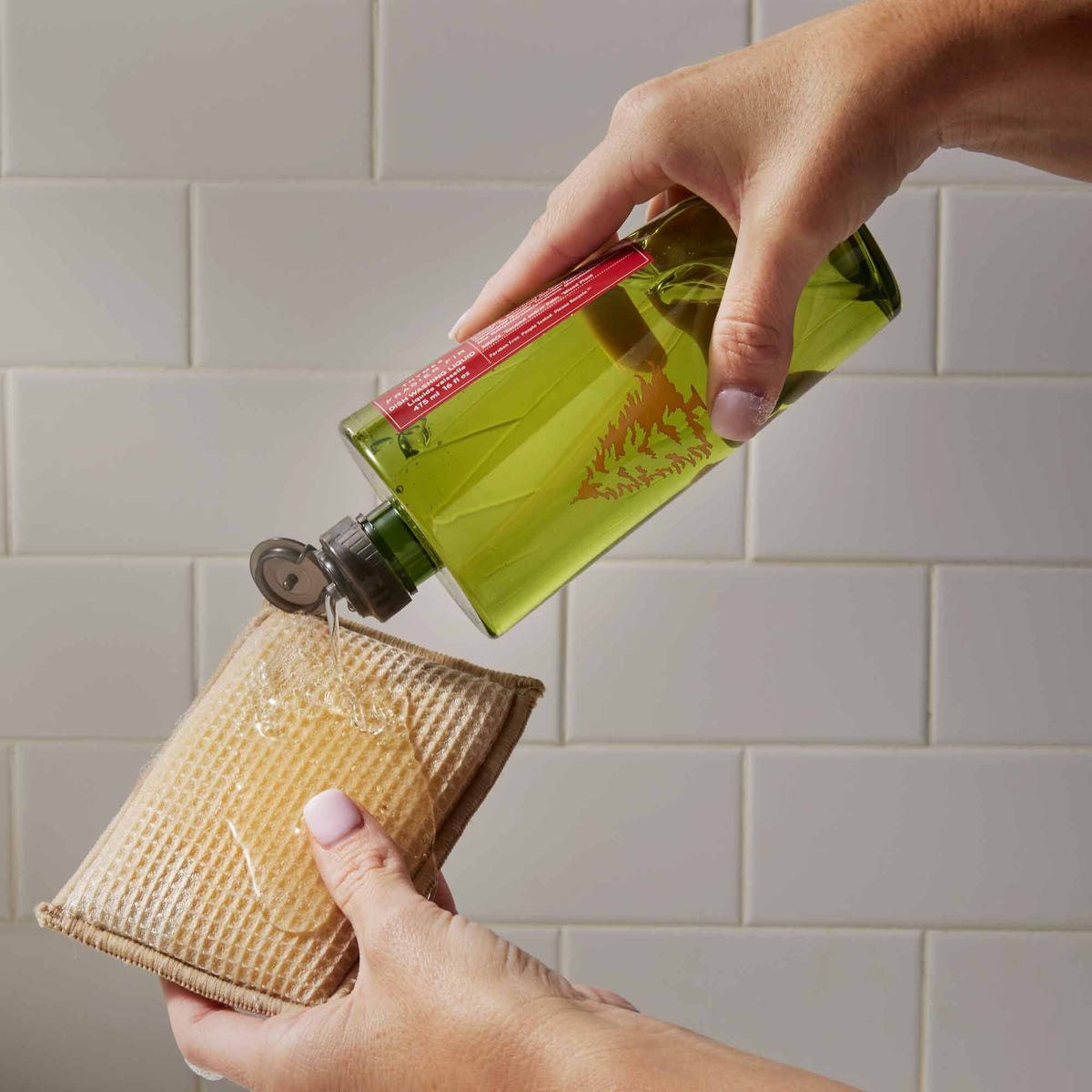 Alternate image of Thymes Frasier Fir Dishwashing Liquid Dish Soap with Sponge