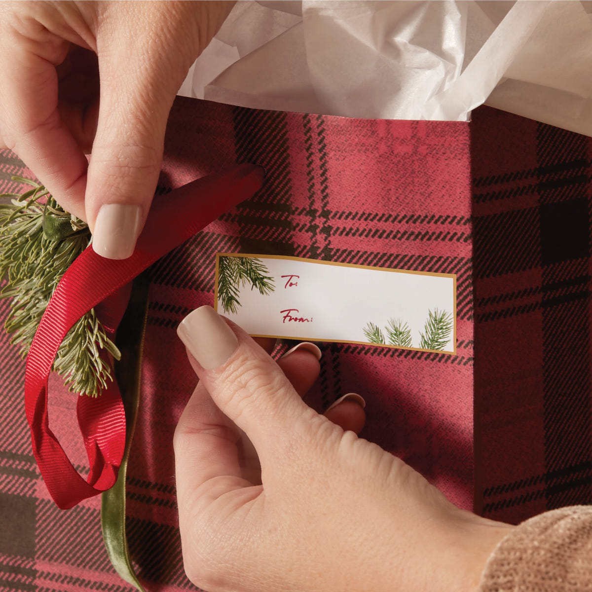 Alternate image of Frasier Fir® Fragranced Adhesive Gift Tags