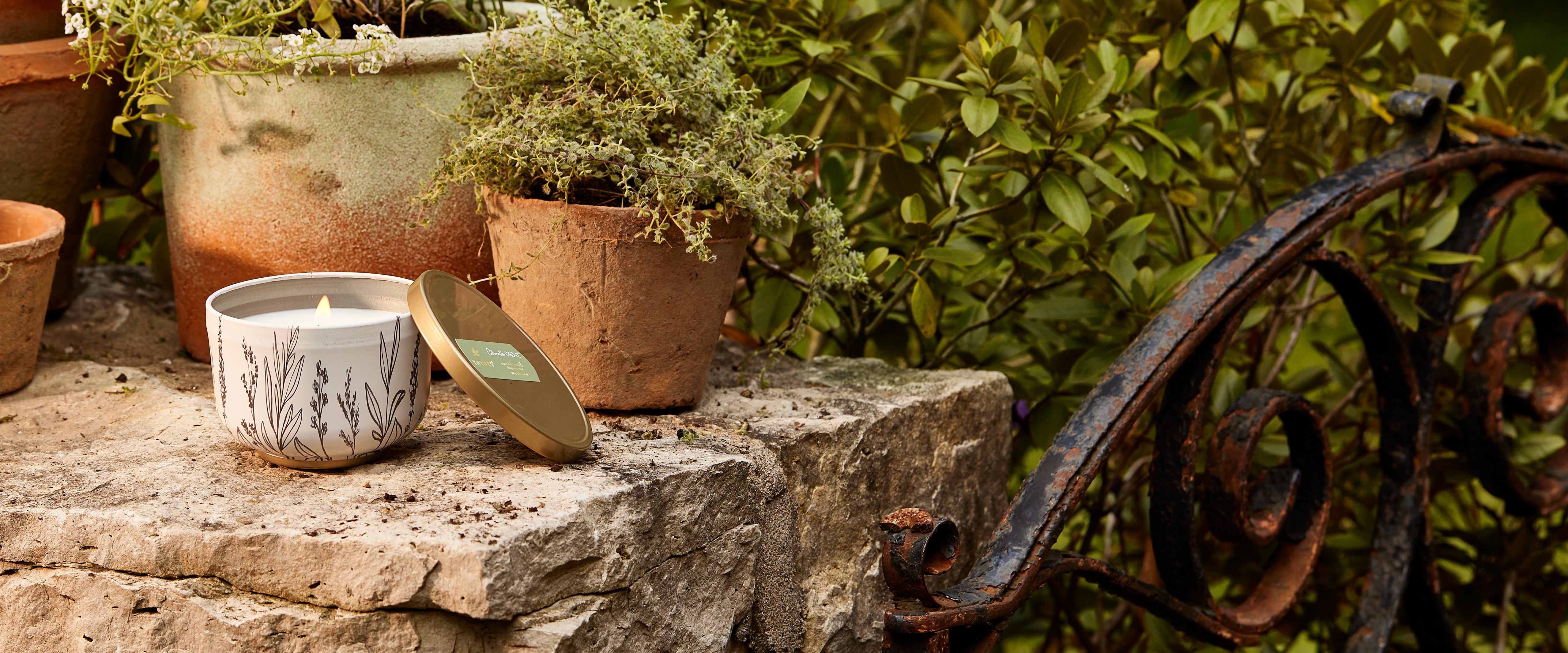 Citronella Grove Tin Candle lit on a stone bench surrounded by potted plants