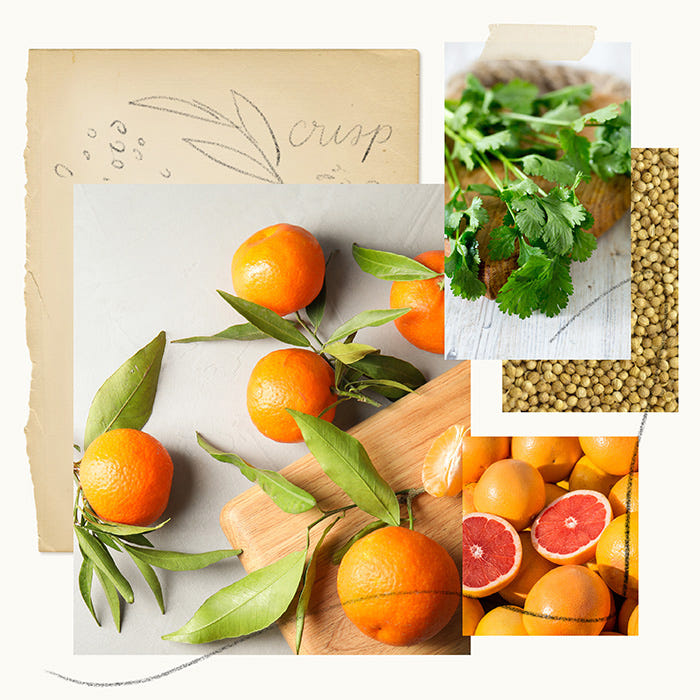 Collage of coriander, mandarins and sliced mandarin pieces