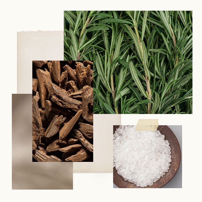 Collage of rosemary leaves, dried herbs, and salt on a white background