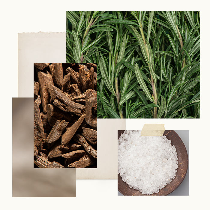 Collage of rosemary leaves, dried herbs, and salt on a white background