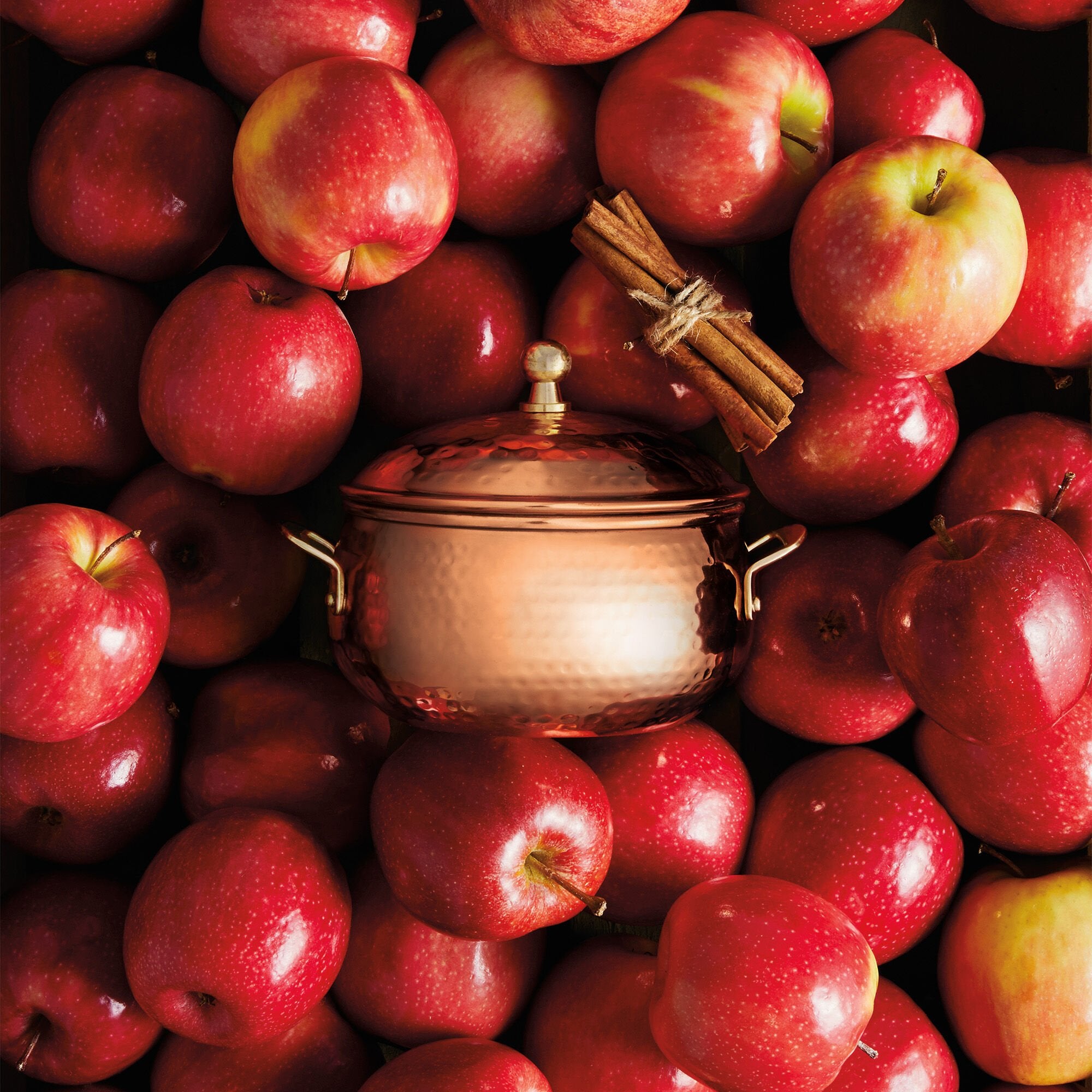 Thymes Simmered Cider Copper Pot 3 Wick Candle Displayed with Apples