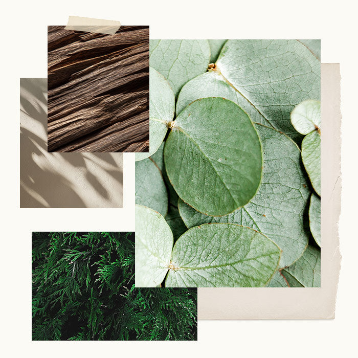 Collage of natural elements including green leaves, brown wood, and beige texture.