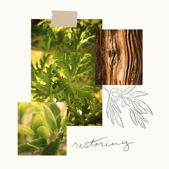 Collage of nature-themed elements including leaves, wood, and a plant outline with the word 'restoring'.