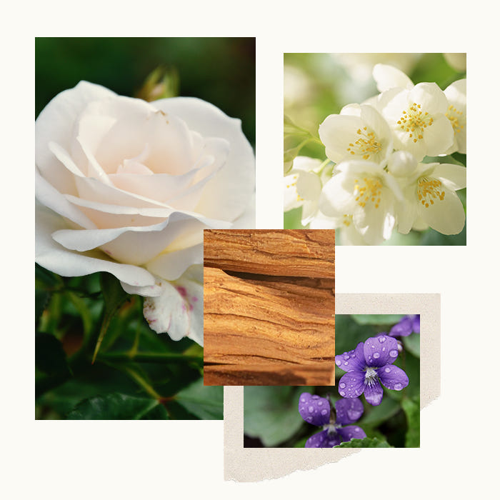 Collage of white flowers, purple flowers with water droplets, and wooden texture.
