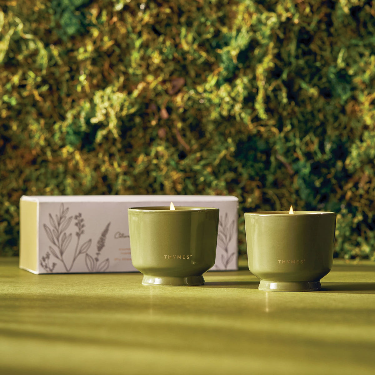Alternate image of thymes citronella grove candle set