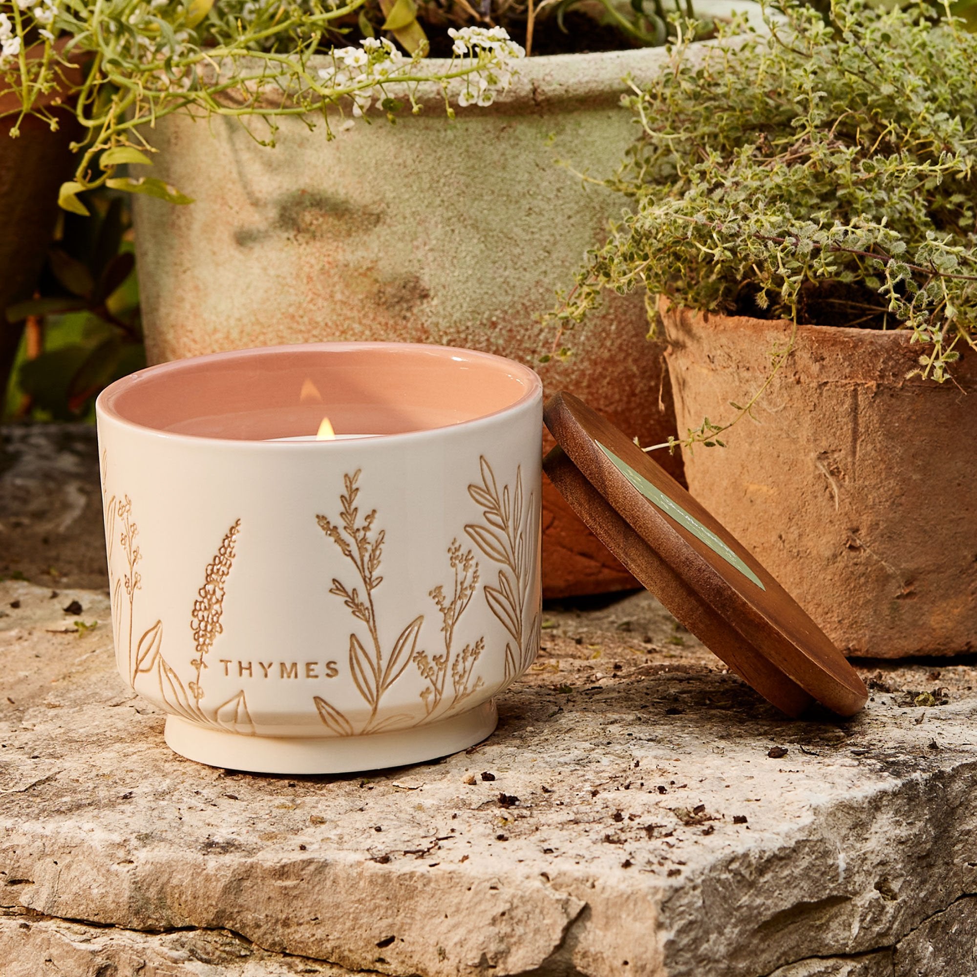 Citronella Grove Medium Candle