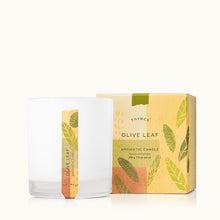 Thymes Olive Leaf Candle in Glossed Ceramic Jar