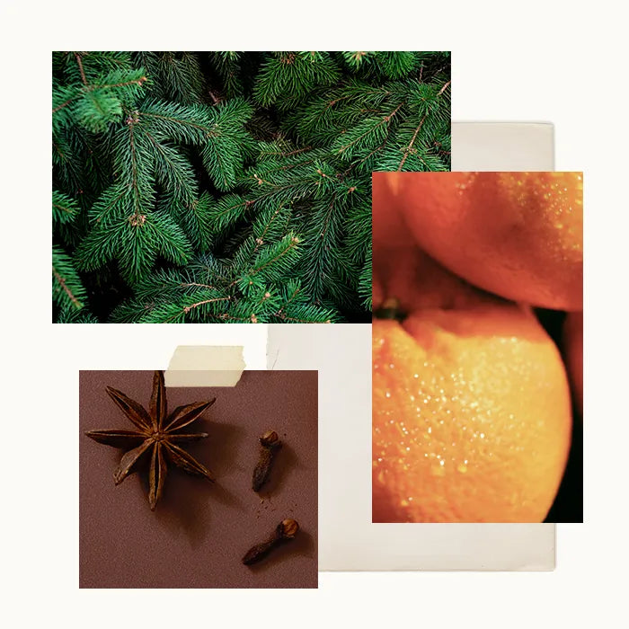 A collage of close-ups of fir branches, mandarin oranges, star anise, and whole cloves.