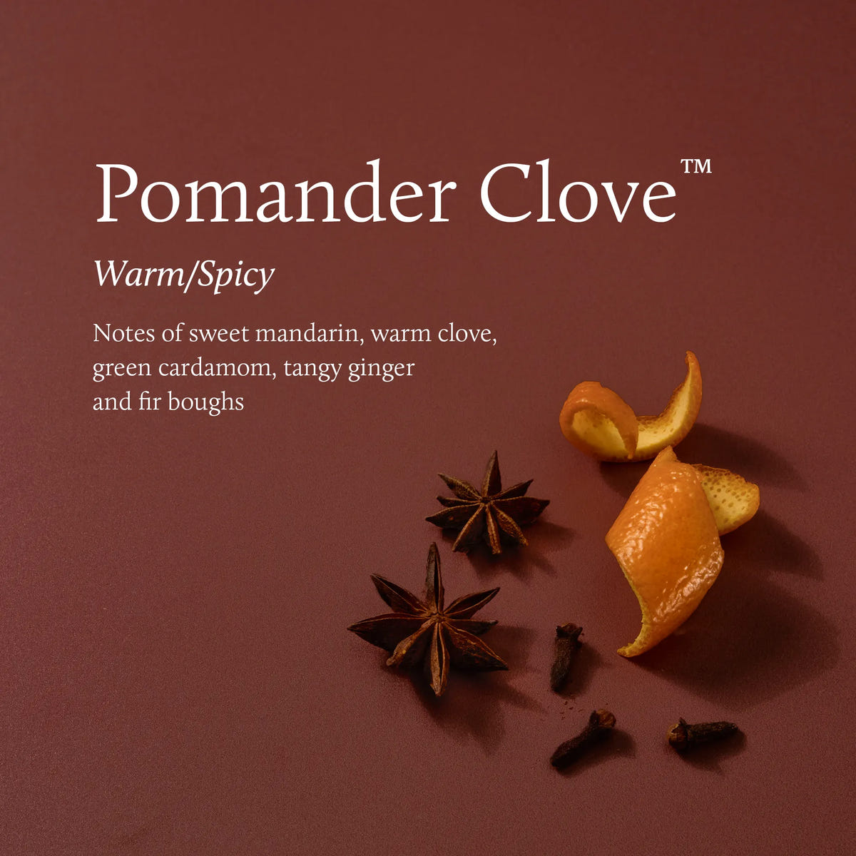 Alternate image of Orange peel curls, star anise, and whole cloves with text identifying the Pomander Clove and its warm/spicy with notes of sweet mandarin, warm clove, green cardamom, tangy ginger and fir boughs.