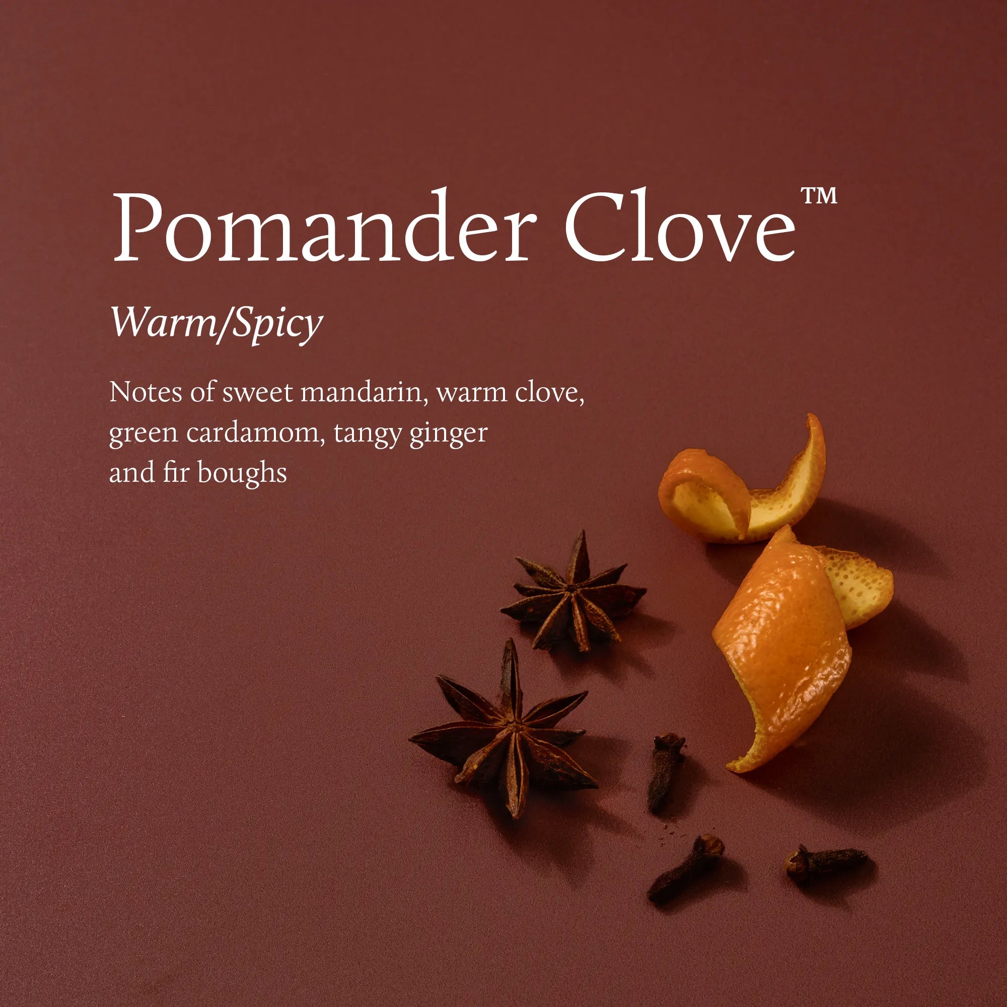 Orange peel curls, star anise, and whole cloves with text identifying the Pomander Clove and its warm/spicy with notes of sweet mandarin, warm clove, green cardamom, tangy ginger and fir boughs.