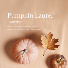 Two small pumpkins and a fallen, brown maple leaf.
