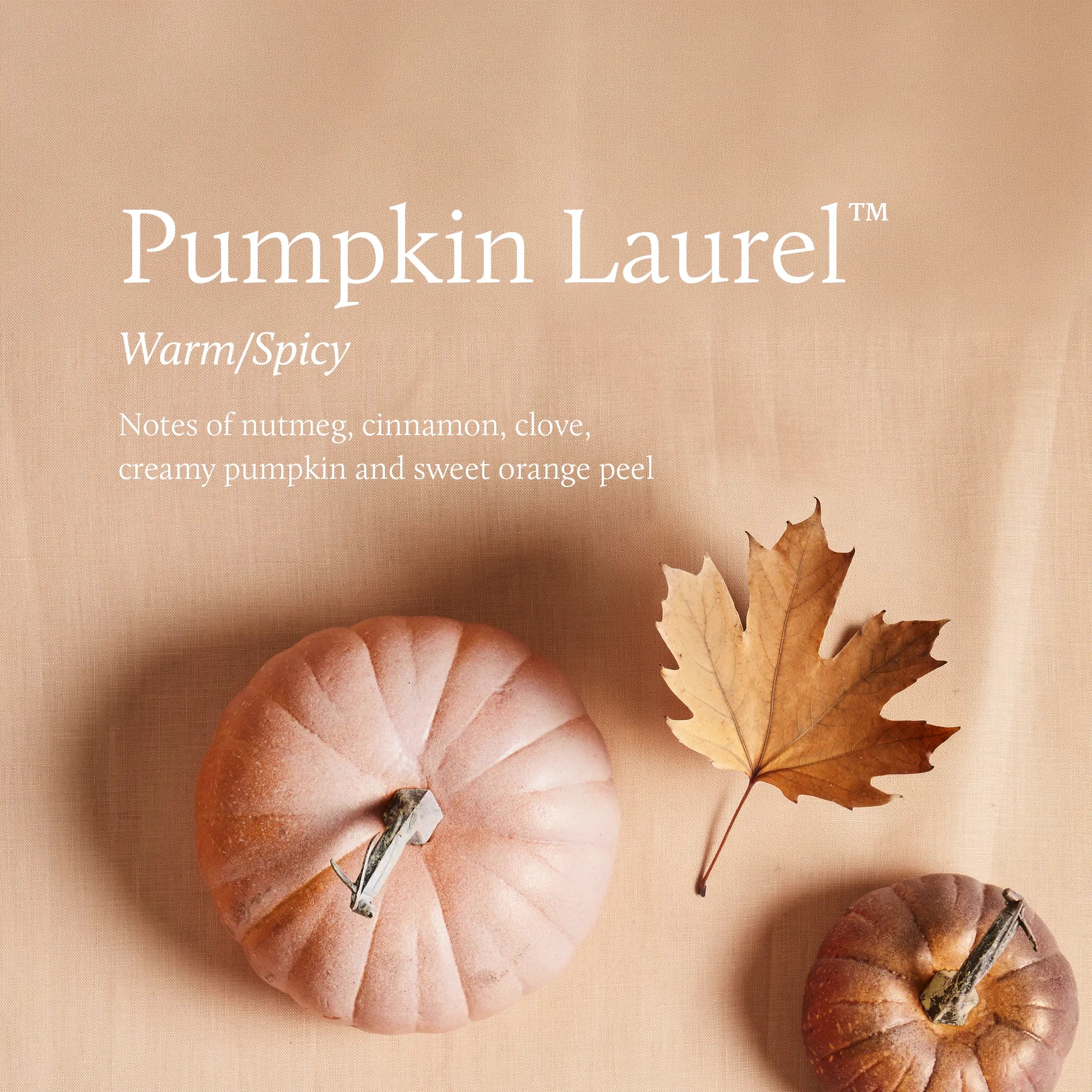 Two small pumpkins and a fallen, brown maple leaf.